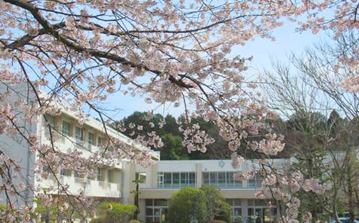 【笠間市立の小・中学校を支援】稲田小学校 米 精米 白米 コシヒカリ こしひかり 真空 パック お米 お弁当 おにぎり 国産 茨城県 笠間市 いばらき