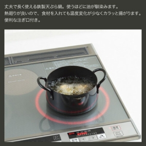 NEWグルメパワー 共柄天ぷら鍋16cm 【ガス火OK IH対応】新潟県 弥彦村 鉄製 揚げ鍋【1632257】