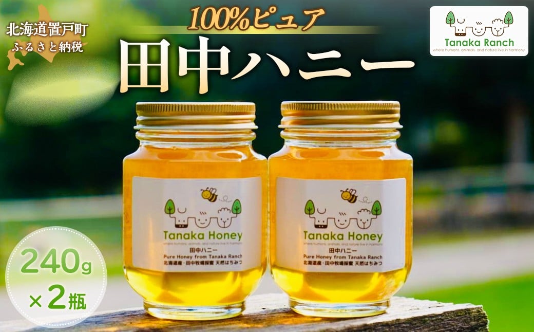 
            【数量限定】 100%ピュア田中ハニー 【 ふるさと納税 人気 おすすめ ランキング はちみつ ハチミツ 蜂蜜 ピュアハニー 純粋はちみつ 無添加 牧場 田中牧場 グラスフェッド 北海道 置戸町 】 OTH003
          