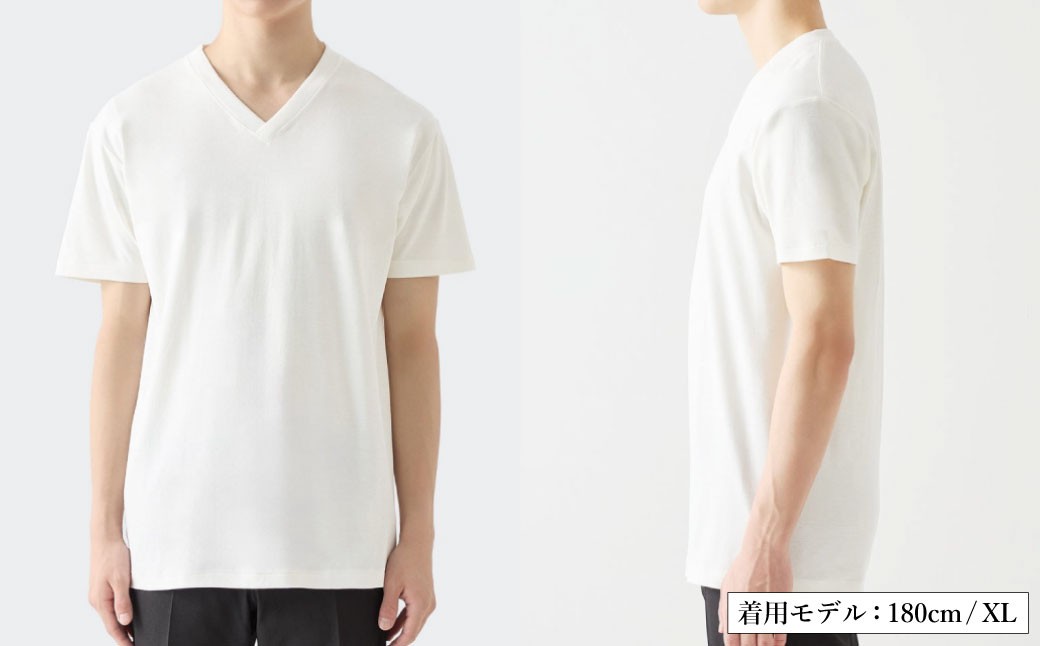 【選べるカラー／サイズ】EIJI T－SHIRT Vネック SM17