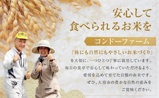 ミルキークイーン　5kg