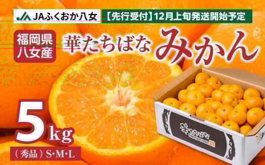 【申込期間終了間近】華たちばなみかん 5kg（秀品 S／M／L） ｜ JAふくおか八女厳選・八女産みかん みかん みかん 5kg 蜜柑