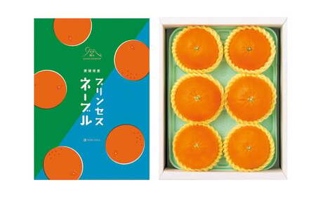 【先行予約】 愛媛県産 プリンセスネーブル L～2Lサイズ 2kg（6～9個） ネーブルオレンジ 果物 フルーツ 【2026年3月上旬～3月下旬発送予定】（875）