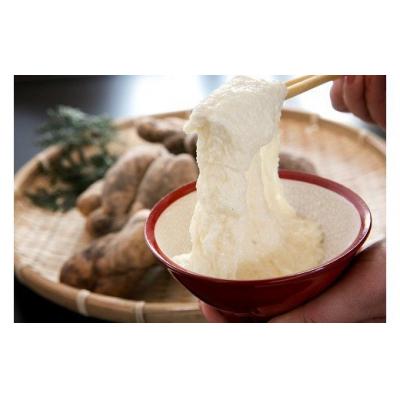 ふるさと納税 山口市 徳地やまのいも箱入り2kg(優) D120 |  | 01
