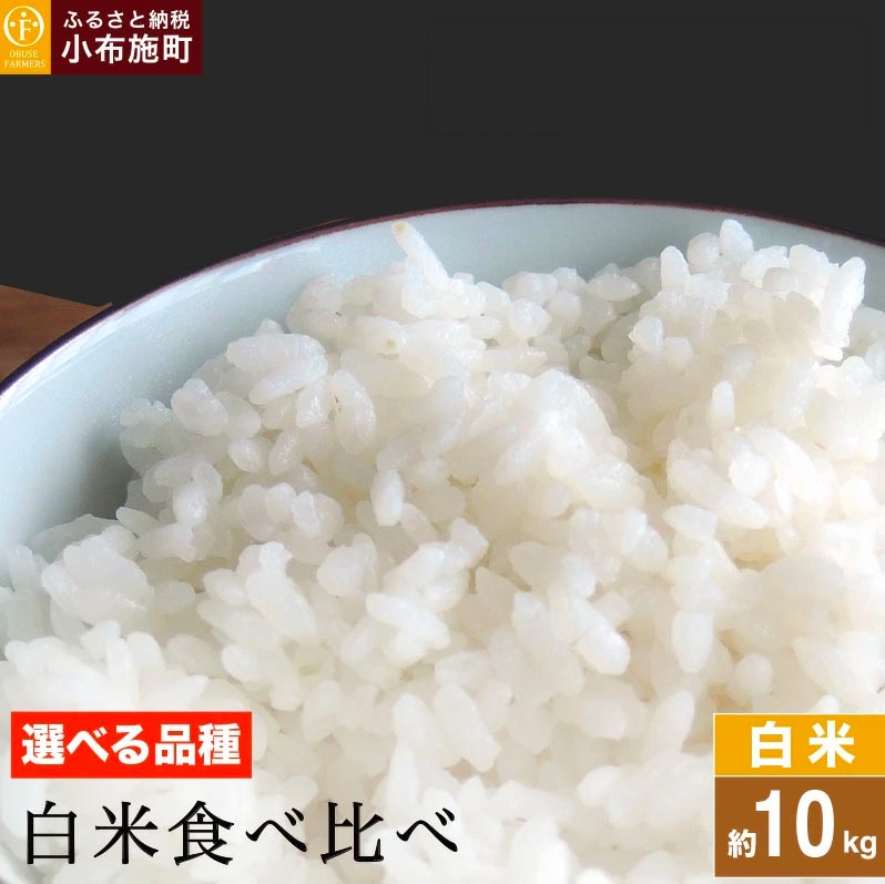 【ふるさと納税】 白米食べ比べ 約10kg 選べる品種 コシヒカリ 風さやか ミルキークイーン ［ おぶせファーマーズ ］ お米 コメ おこめ ご飯 精米 長野県産 2種