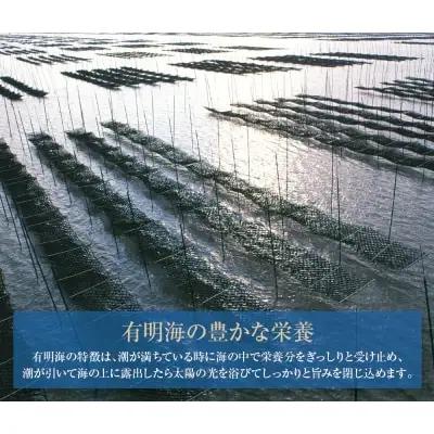 Y26-86 有明海産 焼き海苔 ボトル4本（10切100枚×4本 計400枚)定期便(毎月×6回) 焼き海苔