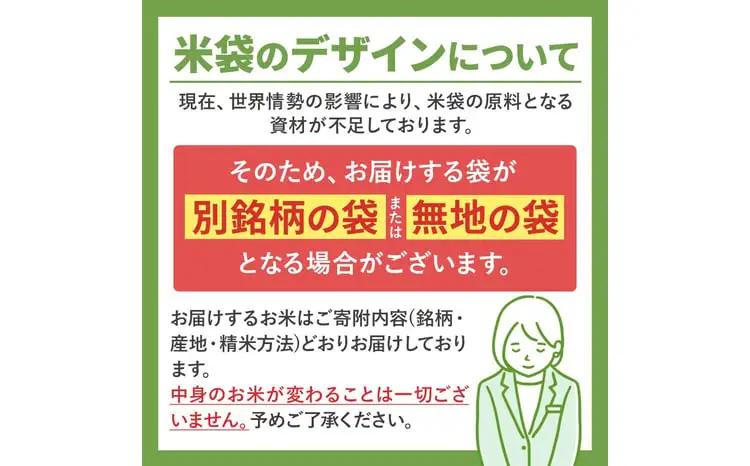 【定期便12回】熊本県産 無洗米 ほたるの灯り 5kg