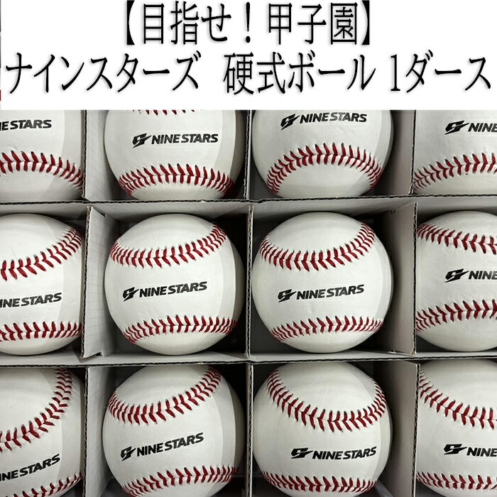 【ふるさと納税】ナインスターズ　硬式ボール 1ダース／野球 ベースボール 野球ボール 硬式 練習球 硬球 硬式球 バッティング練習 トレーニング キャッチボール 守備練習 部活 サークル 社会人野球 草野球
