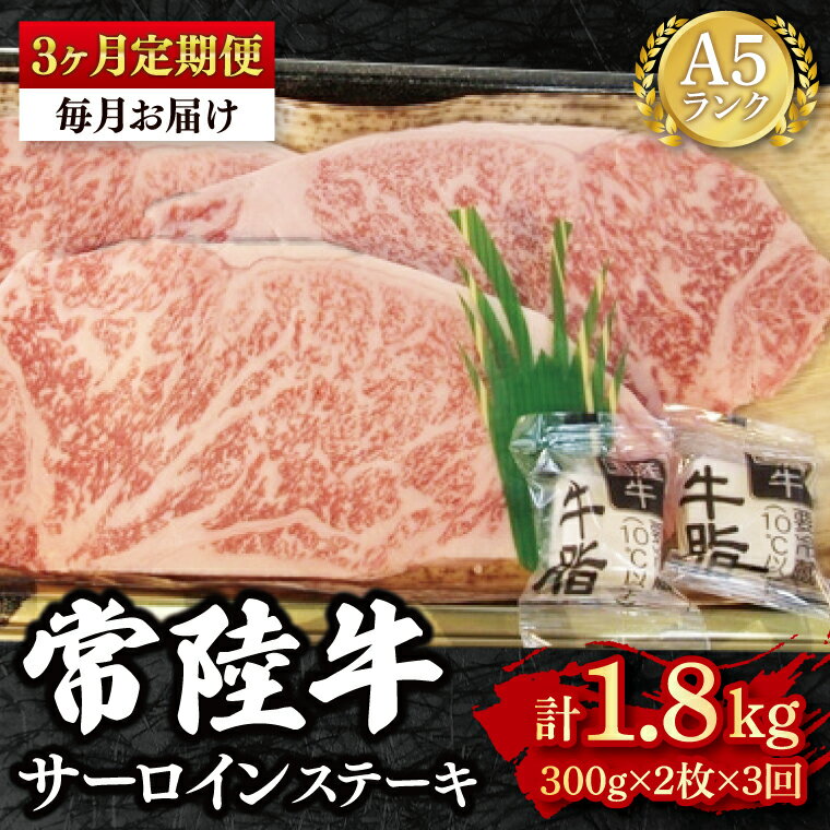 【ふるさと納税】【3か月定期便】【常陸牛 A5ランク】サーロインステーキ　600g（300g×2枚） 冷凍 国産牛 和牛 牛肉 茨城県 水戸市 国産 老舗精肉店（EK-2_1）