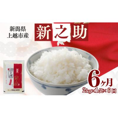 ふるさと納税 上越市 【発送月固定定期便】【4月上旬より発送予定】新潟県上越市産　新之助　精米　2kg全6回