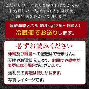 小泊港水揚げ 一本釣り 津軽海峡メバル 約3kg（7尾～9尾入） 【卓立水産】魚 海鮮 ウスメバル メバル めばる 高級 海産物 刺身 煮付け 中泊町 青森 F6N-033