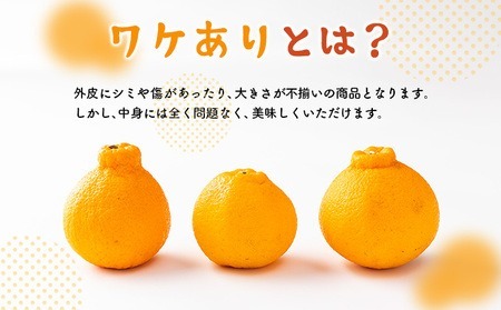 訳ありデコポン 3kg |  デコポン岡村農園 追熟デコポン 室戸産デコポン