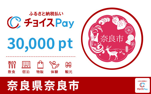 
            奈良市チョイスPay 30,000pt【会員限定のお礼の品】
          