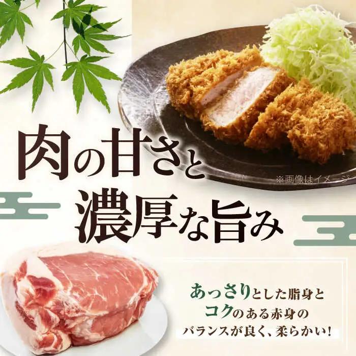 【全12回定期便】平田牧場 ロース ブロック 1.2kg (600g×2P)  豚肉 ローストポーク 煮豚 [AJAP101]
