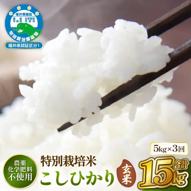 定期便 3ヶ月　新米【令和8年産】特別栽培米コシヒカリ5kg × 3回(玄米） 農薬化学肥料不使用【10月中旬以降発送】 [e81-e002_02]
