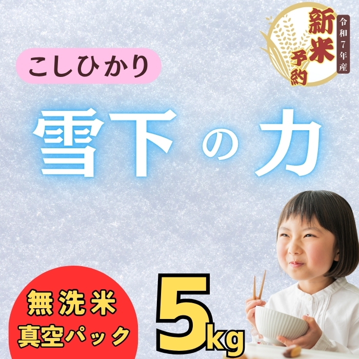 【先行予約】 <令和７年産 新米>雪下の力 こしひかり 無洗米 5kg 真空パック（7-51）
