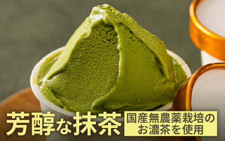 【先行予約】はんすうカップアイス バラエティパック B【2025年12月上旬より順次発送予定】【アイス ジェラート ひんやりスイーツ スイーツ デザート お菓子 洋菓子 詰め合わせ 食べ比べ ご褒美ア