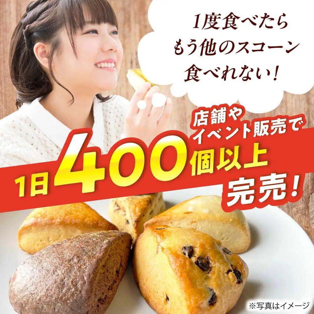 【卵不使用！】生スコーン プレーン・極上焼塩 2種10個セット[QBZ002]