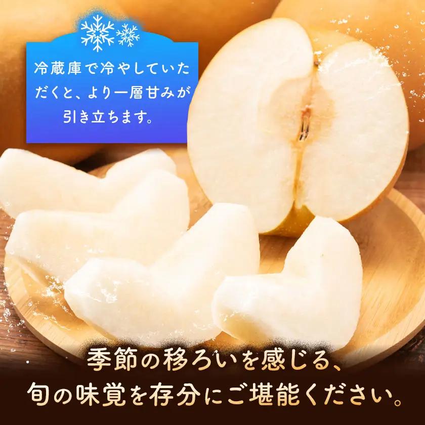 梨 5kg 品種・サイズおまかせ【配送不可地域あり】(沖縄・離島)