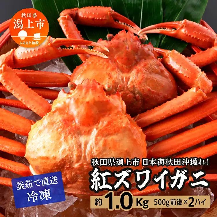 紅ズワイガニ 冷凍 2匹 1.0kg【安田水産】
