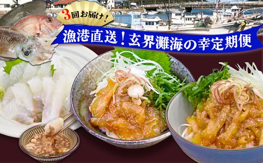 【3回届く！】漁港直送！玄界灘海の幸定期便★水揚げされたての高鮮度を活かした地魚刺身・漬けを3回お届け！[G7059]