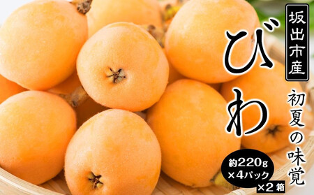 びわ 坂出市産 約1.8kg ( 4パック× 2箱 )｜初夏の味覚