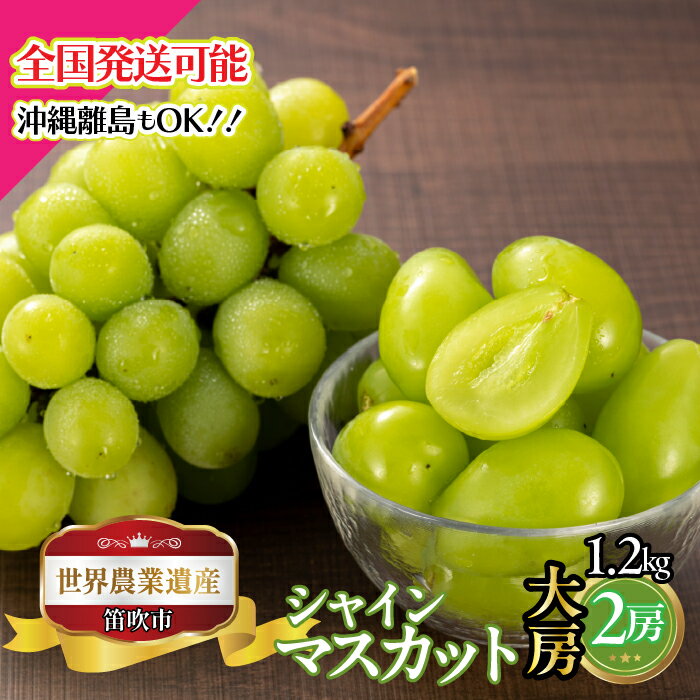 【ふるさと納税】【2026年発送★先行予約】山梨県笛吹市産 山梨県笛吹市産 シャインマスカット大房 2房 1.2kg ふるさと納税 ぶどう シャインマスカット 大房 笛吹市 国産 人気 期間限定 果物 フルーツ 旬 山梨県 送料無料 223-027