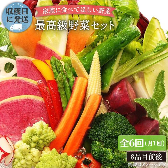 【全6回定期便】【 農薬・化学肥料 不使用 】こだわり 野菜 セット （ 8品 前後 ） 糸島市 / オーガニックナガミツファーム [AGE017]