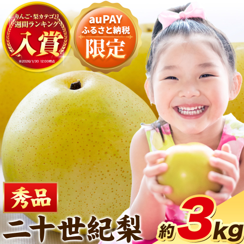 【三太郎の日限定】梨 なし【秀品(赤秀)】先行予約 二十世紀梨 約3kg《2026年8月下旬-9月下旬頃出荷》鳥取県 八頭町 梨 なし 果物 フルーツ 特産品 秀品 赤秀 贈答用 先行予約 送料無料 果汁 デザート