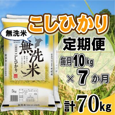 ふるさと納税 大網白里市 【毎月定期便】コシヒカリ 無洗米 10kg (5kg×2袋)全7回