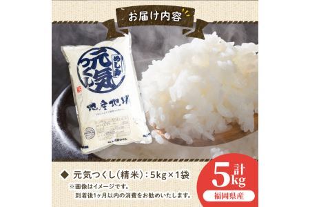 果物屋さんが選んだ米「元気つくし」(5kg)お米 白米 5キロ ごはん ご飯 常温 常温保存【ksg0166】【南国フルーツ】