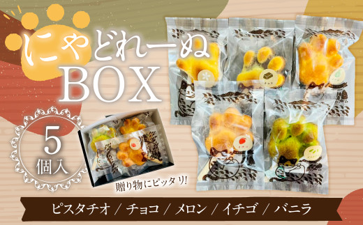 
085-868 にゃどれーぬBOX お菓子 マドレーヌ 焼菓子 詰め合わせ 5種類 各1個 セット
