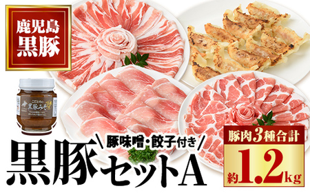【B02087】黒豚セットA (計約1.2kg)、黒豚みそ(160g×2本)、黒豚餃子(12個入×2P) 鹿児島 国産 九州産 黒豚 豚肉 お肉 豚味噌 みそぶた ご飯のお供 餃子 ぎょうざ ギョーザ 惣菜 おかず ギフト 贈答【和田養豚】