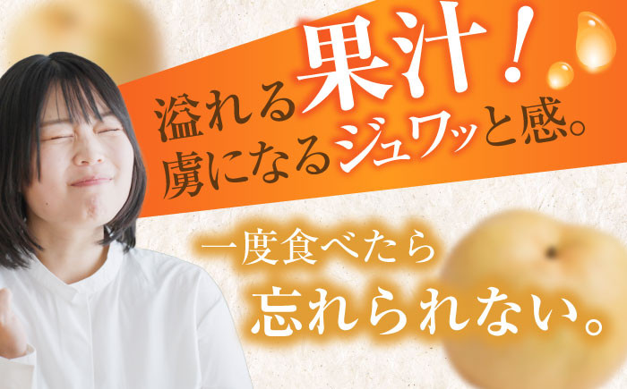 梨 なし ナシ 国産 甘太 かんた カンタ 果物 くだもの 果汁 フルーツ 旬 甘い 食感