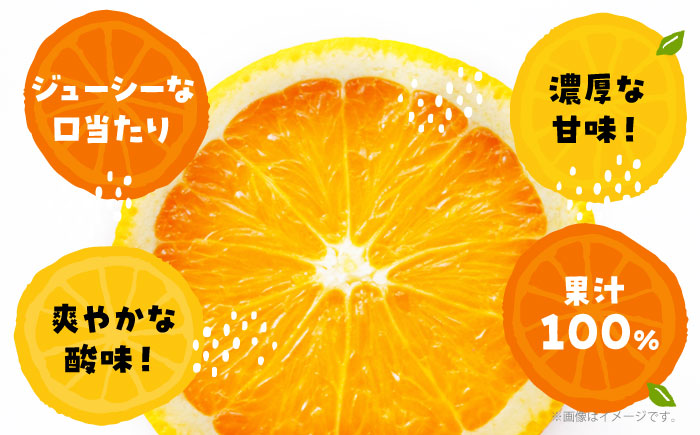 みかんが1番美味しい時期にジュースにしました！うんしゅうみかんジュース（ストレート）1L×4本　愛媛県大洲市/有限会社いのうえ果樹園 [AGBV001]みかん オレンジ フルーツ ミカン 果 愛媛みか