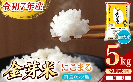 【定期便】BG無洗米・金芽米にこまる 5kg×3ヵ月 （毎月）計量カップ無し【令和7年産 3ヶ月 時短 健康 米 BG 無洗米 計15kg 島根県産 節水 時短 アウトドア キャンプ 東洋ライス 健康 島根県 安来市】【価格改定XA】【45-SS-59-2】