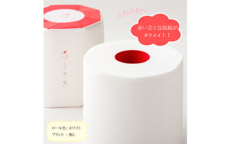 【先行予約】【2回定期便】 うさぎ45ロール入り 2ヵ月毎 全2回 トイレットペーパー ギフトボックス 高級 トイレットペーパー トリプル 定期コース 無香料 箱入り 贈答 日用品【望月製紙株式会社】