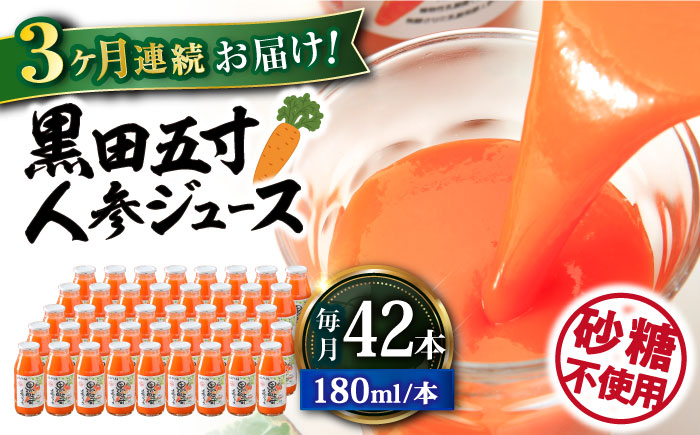 
【3回定期便】 黒田五寸人参ジュース180ml 42本セット 総計126本 / ジュース じゅーす にんじん ニンジン 人参 ニンジンジュース 人参ジュース 野菜ジュース やさいジュース ドリンク 飲料水 / 大村市 / おおむら夢ファームシュシュ[ACAA112]
