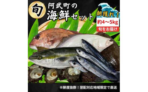 山口県 阿武町 道の駅 厳選 ！ 当日水揚げ 鮮魚 セット 約4～5kg 新鮮 豪華 旬 獲れたて 魚 さかな サザエ 海鮮