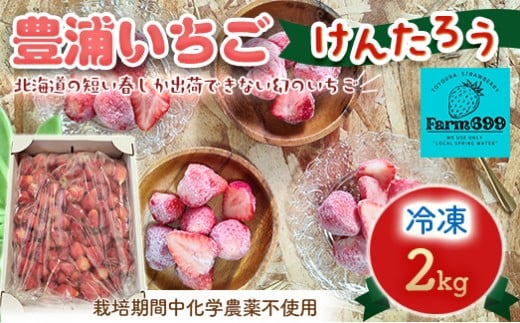 【2026年4月下旬以降順次発送】豊浦いちご  冷凍いちご 2kg 【 ふるさと納税 人気 おすすめ ランキング 果物 いちごイチゴ 苺 大玉 大粒 けんたろう おいしい 美味しい 農園直送 採れたて 新鮮 産直 苺 ストロベリー 北海道 豊浦町 送料無料 】 TYUAH002
