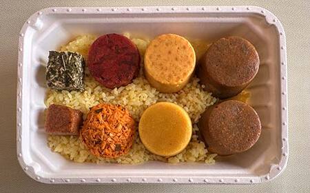 【3ヶ月連続定期便】ひだまり薬膳スパイスカレー 4個 冷凍 薬膳 スパイスカレー カレー スパイス デトックス 保存食 ジビエ 低糖質 ターメリックライス F4F-4366