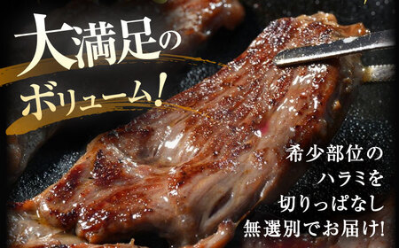 【訳あり】ステーキ宮 味付け牛ハラミ900gと宮のタレ6個セット[AQAM004]ハラミハラミハラミハラミハラミハラミ