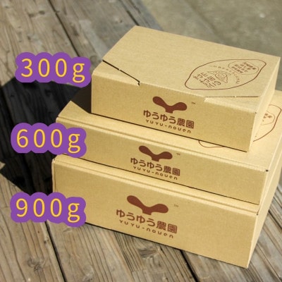 山田のややこ -おいものこ- ほしいもセット 600g(100g×2個・200g×2個)【配送不可地域：離島・沖縄県】【1501790】