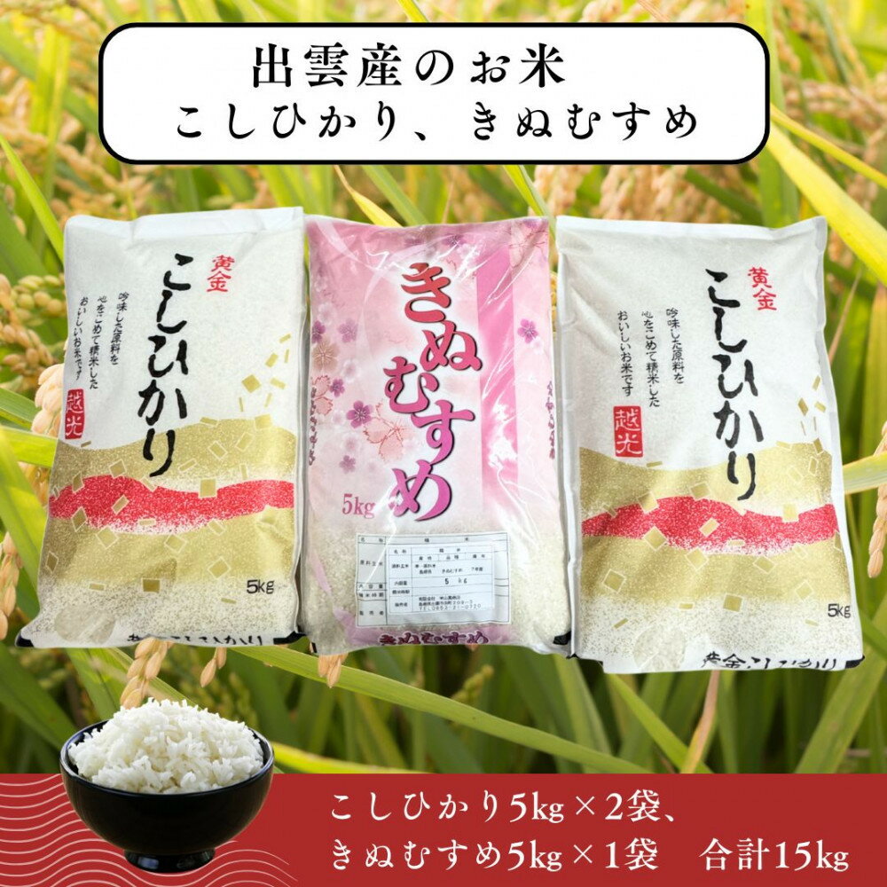 【ふるさと納税】出雲産コシヒカリ（5kg）×2袋と出雲産きぬむすめ（5kg）×1袋 | お米 米 こめ 白米 新米 精米 お取り寄せ ご当地 島根県 出雲市