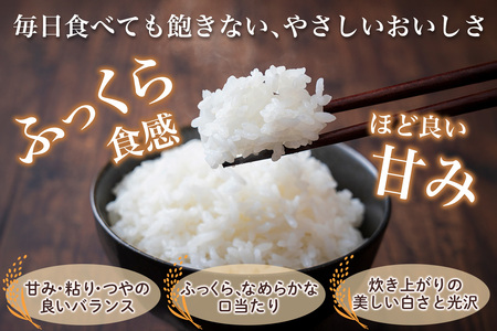 令和7年 つがる市産 はれわたり 5kg 無洗米｜2025年産 お米 白米 米 コメ 精米 農協 特A [0903]