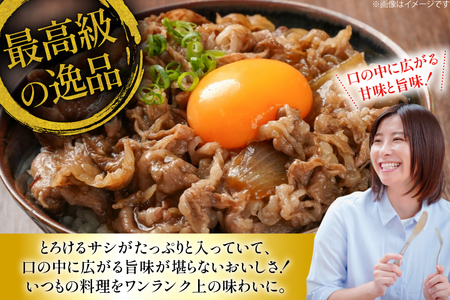 和牛 切り落とし 霜降り肉 定期便 長崎和牛 切り落し 500g 12回 総計6kg [大川ストアー 長崎県 東彼杵町 hs42bag580074]