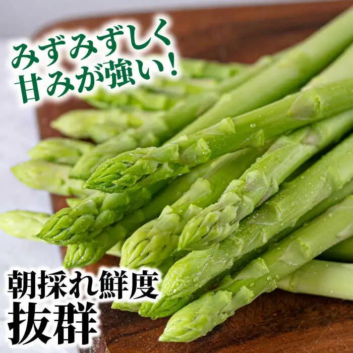 【2026年5月下旬-発送】【数量限定】【星のアスパラ】厳選 グリーン アスパラガス 約2kg / アスパラ アスパラガス 野菜 / 南島原市 / ほしのYA [SEY002]