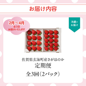 佐賀県玄海町産「さがほのか」毎月定期便 ／ いちご さがほのか【Z111】