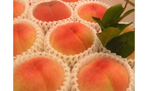 
            藤渕果樹園の川中島白桃（1）【6～8玉入り】【フルーツ 果物 くだもの 食品 人気 おすすめ 送料無料】
          