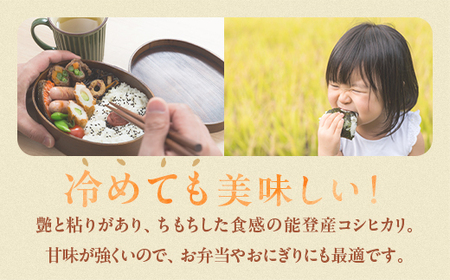 【発送時期が選べる】令和6年産 コシヒカリ 能登米(3kg×2袋) ◇ ｜ 国産 ふっくら ツヤツヤ 甘いこしひかり 精米 白米 送料無料 石川県 七尾市 能登 ※2024年11月下旬～2025年6月